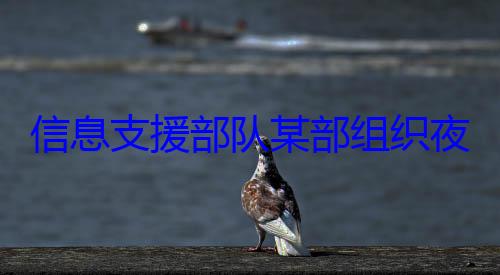 队某部组织信息支援部练图夜间修理训