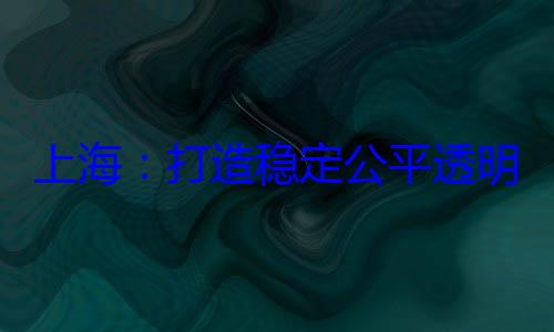 上海打造稳定公平透明的营商环境
