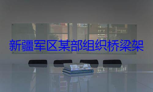 部组织桥梁图新疆军区某架设训练